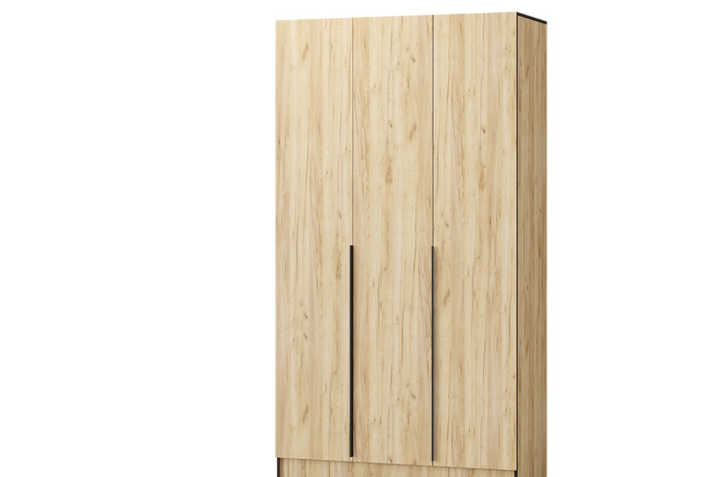 foto-avangard d12-2.png